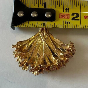 Image thumbnail 5